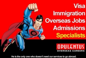 Opulentus immigration Services
